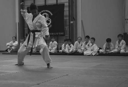 Karate Kata Pinan Godan